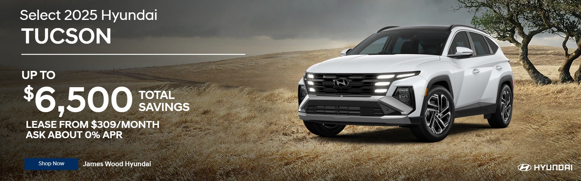 Select 2025 Hyundai Tucson